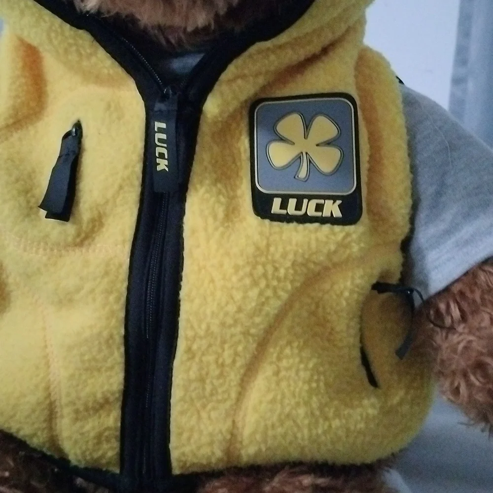 Wish Bear Luck limited edition